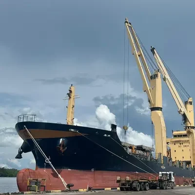 palm kernel expeller export