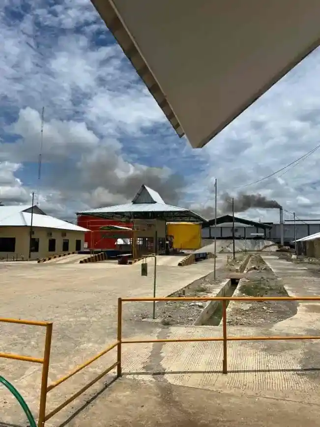 palm kernel expeller supplier