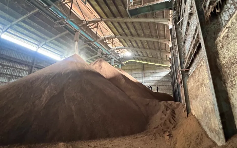 Bulk Palm Kernel Expeller stockpiled inside an Indonesian mill warehouse